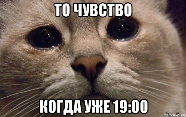 то чувство когда уже 19:00, Мем   В мире грустит один котик