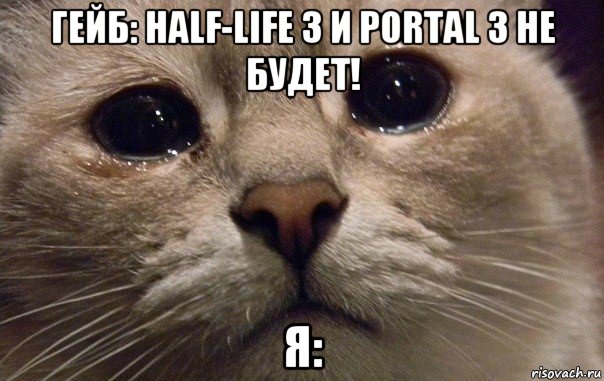 гейб: half-life 3 и portal 3 не будет! я:, Мем   В мире грустит один котик