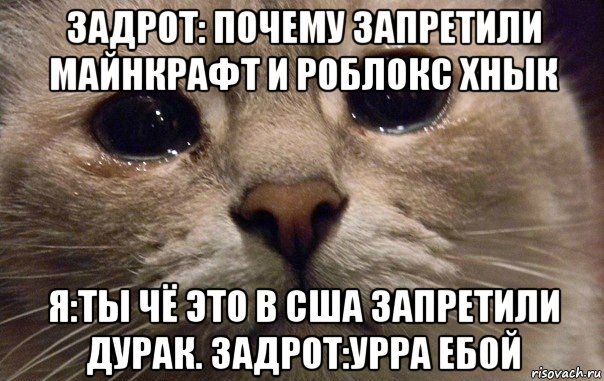 задрот: почему запретили майнкрафт и роблокс хнык я:ты чё это в сша запретили дурак. задрот:урра ебой, Мем   В мире грустит один котик