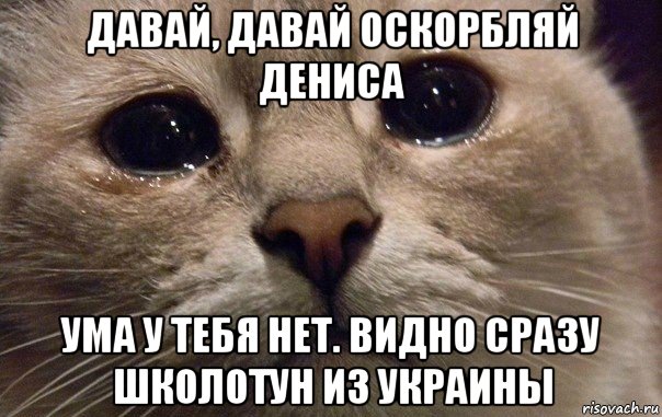 давай, давай оскорбляй дениса ума у тебя нет. видно сразу школотун из украины, Мем   В мире грустит один котик