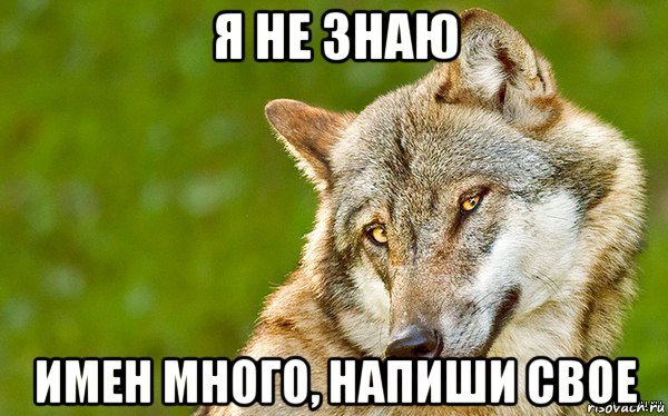 я не знаю имен много, напиши свое, Мем   Volf