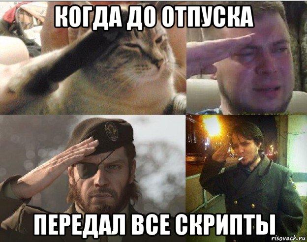 когда до отпуска передал все скрипты