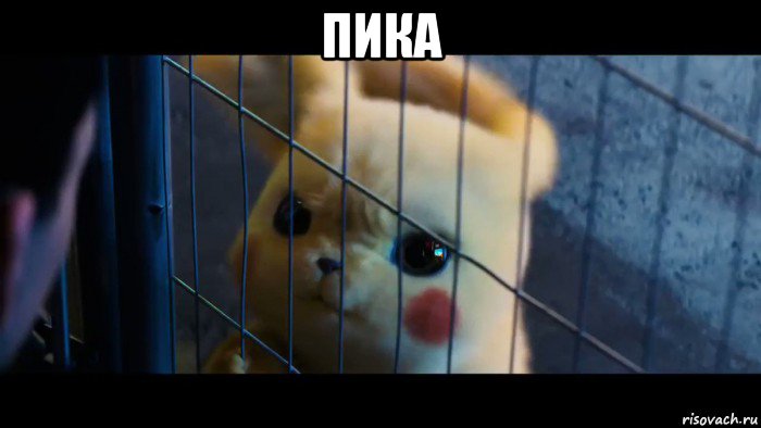 пика 