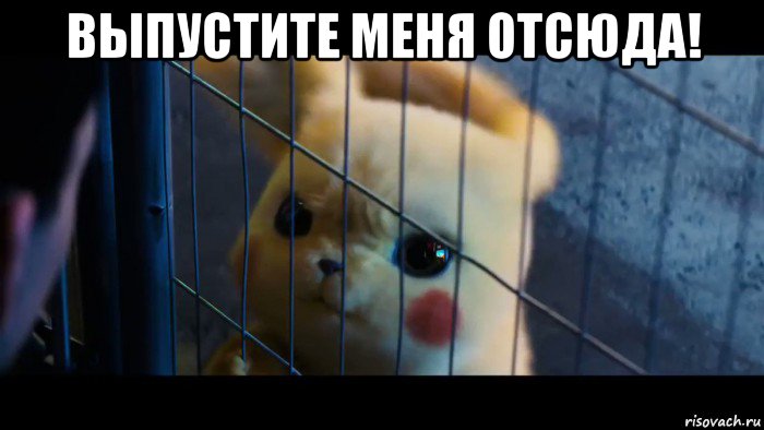 выпустите меня отсюда! 