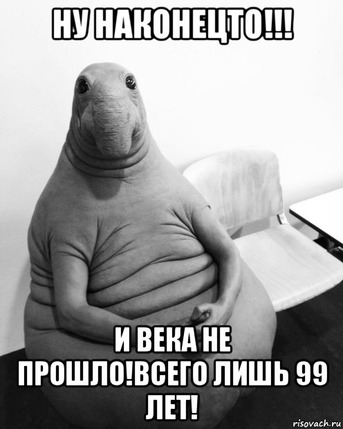 ну наконецто!!! и века не прошло!всего лишь 99 лет!, Мем  Ждун