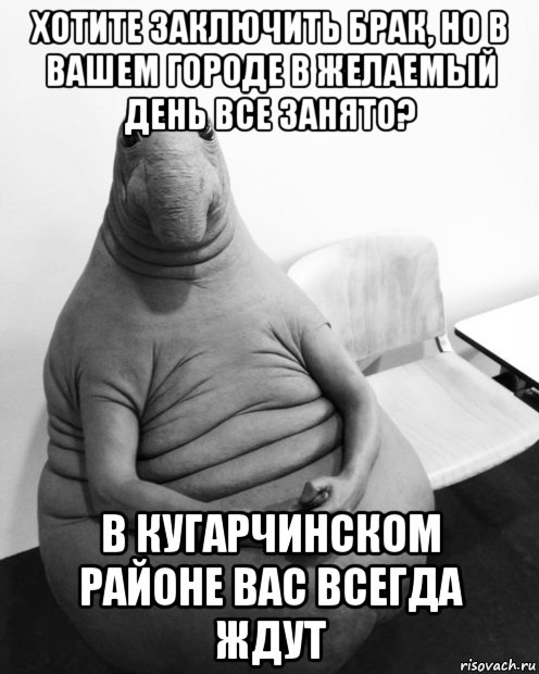 хотите заключить брак, но в вашем городе в желаемый день все занято? в кугарчинском районе вас всегда ждут, Мем  Ждун