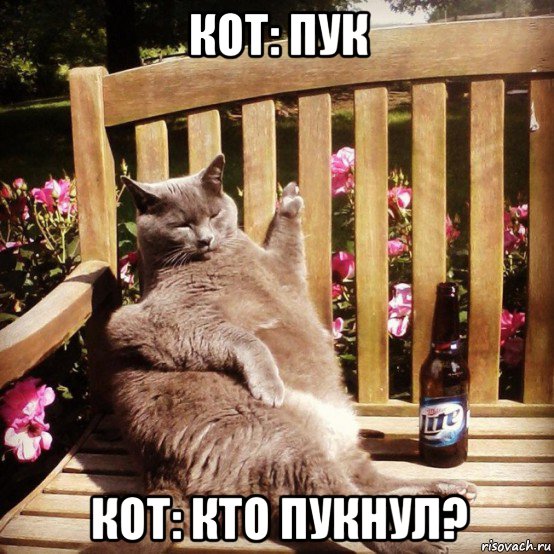 кот: пук кот: кто пукнул?, Мем Жирный кот