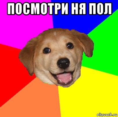 посмотри ня пол , Мем Advice Dog