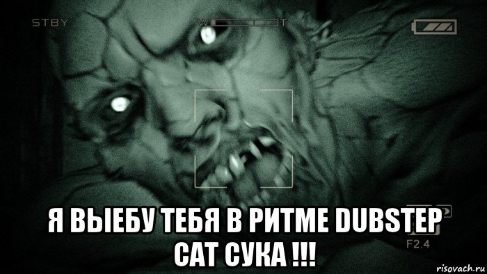  я выебу тебя в ритме dubstep cat сука !!!