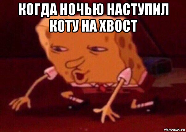 когда ночью наступил коту на хвост , Мем    Bettingmemes