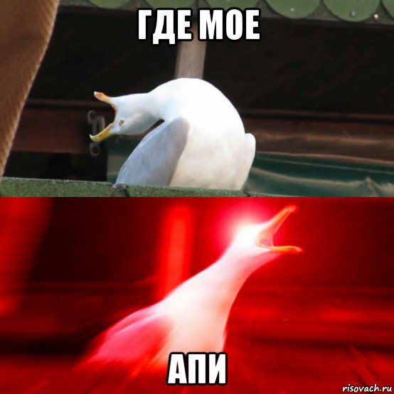 где мое апи