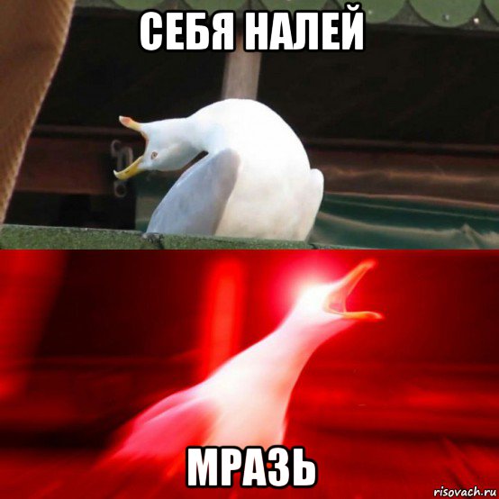 себя налей мразь