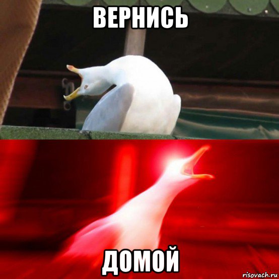 вернись домой