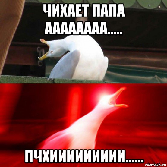 чихает папа аааааааа..... пчхиииииииии......