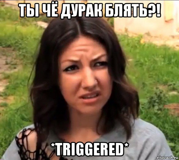 ты чё дурак блять?! *triggered*