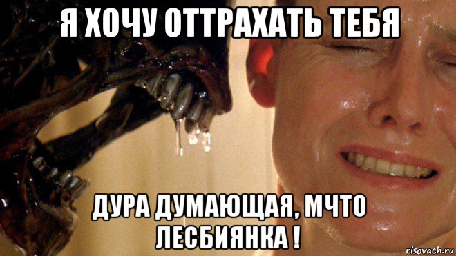 я хочу оттрахать тебя дура думающая, мчто лесбиянка !