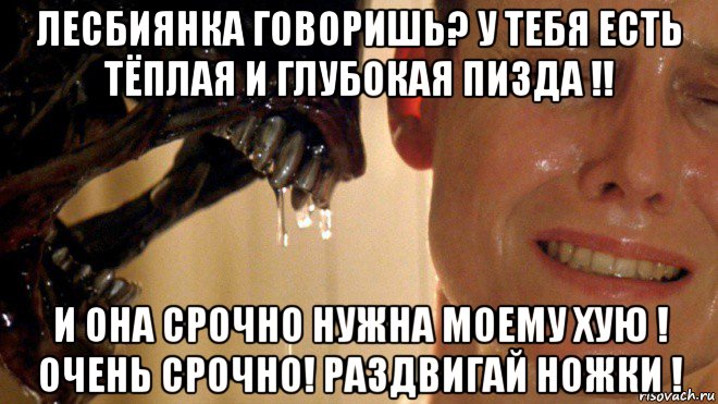 лесбиянка говоришь? у тебя есть тёплая и глубокая пизда !! и она срочно нужна моему хую ! очень срочно! раздвигай ножки !