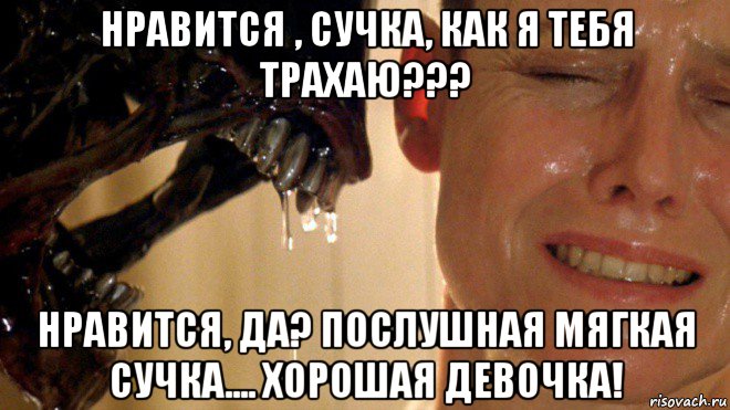 нравится , сучка, как я тебя трахаю??? нравится, да? послушная мягкая сучка.... хорошая девочка!