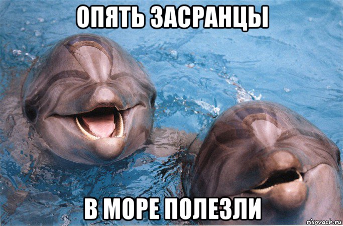 опять засранцы в море полезли