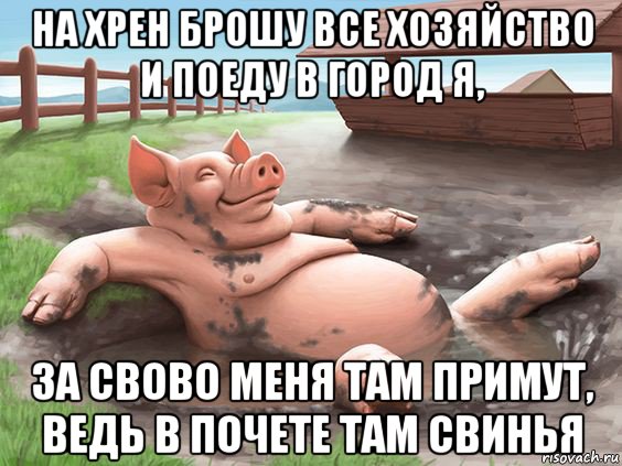 на хрен брошу все хозяйство и поеду в город я, за свово меня там примут, ведь в почете там свинья
