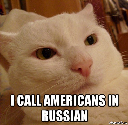  i call americans in russian, Мем Дерзкий котэ