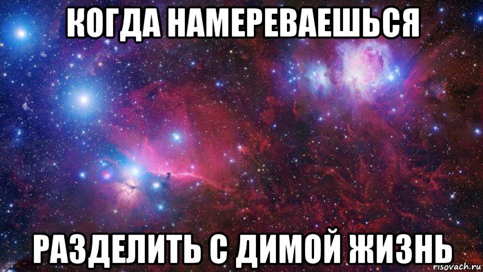 когда намереваешься разделить с димой жизнь