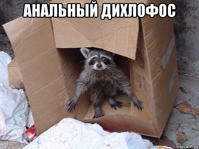 анальный дихлофос 