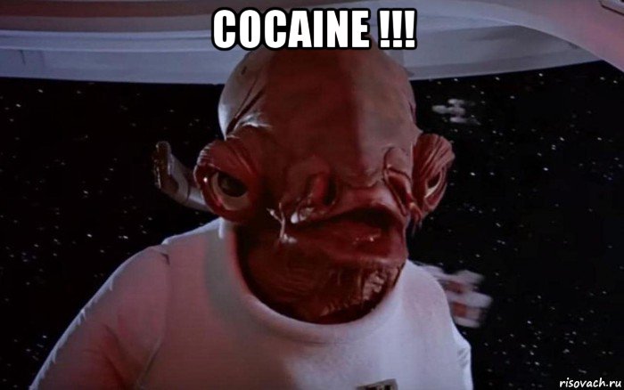 cocaine !!! , Мем Это ловушка
