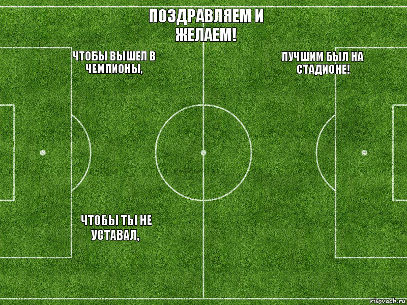  ЧТОБЫ ВЫШЕЛ В ЧЕМПИОНЫ,  ЧТОБЫ ТЫ НЕ УСТАВАЛ, ПОЗДРАВЛЯЕМ И ЖЕЛАЕМ!  ЛУЧШИМ БЫЛ НА СТАДИОНЕ!  , Комикс Футбольное поле