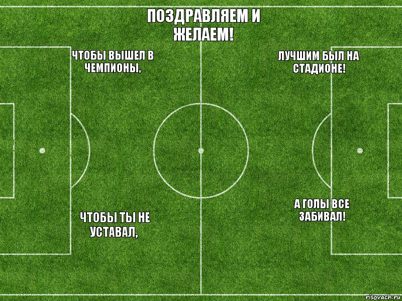  ЧТОБЫ ВЫШЕЛ В ЧЕМПИОНЫ,  ЧТОБЫ ТЫ НЕ УСТАВАЛ, ПОЗДРАВЛЯЕМ И ЖЕЛАЕМ!  ЛУЧШИМ БЫЛ НА СТАДИОНЕ!  А ГОЛЫ ВСЕ ЗАБИВАЛ!, Комикс Футбольное поле