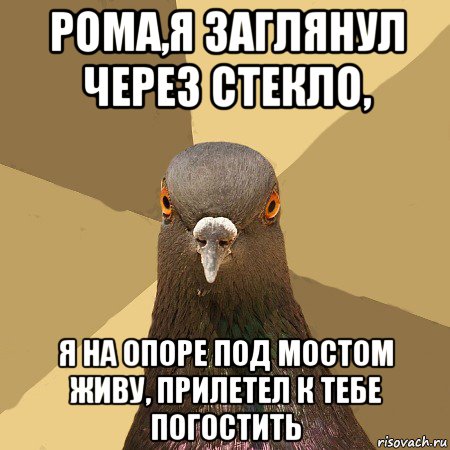 рома,я заглянул через стекло, я на опоре под мостом живу, прилетел к тебе погостить, Мем голубь