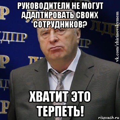 руководители не могут адаптировать своих сотрудников? хватит это терпеть!, Мем Хватит это терпеть (Жириновский)