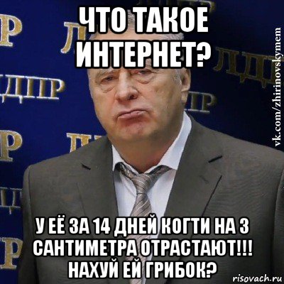 что такое интернет? у её за 14 дней когти на 3 сантиметра отрастают!!! нахуй ей грибок?, Мем Хватит это терпеть (Жириновский)