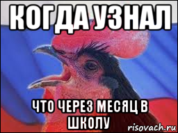 когда узнал что через месяц в школу