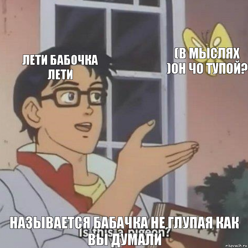 Лети бабочка лети (в мыслях )он чо тупой? Называется Бабачка не глупая как вы думали, Комикс  Is this