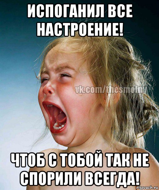 испоганил все настроение! чтоб с тобой так не спорили всегда!, Мем истерика