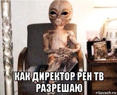  как директор рен тв разрешаю