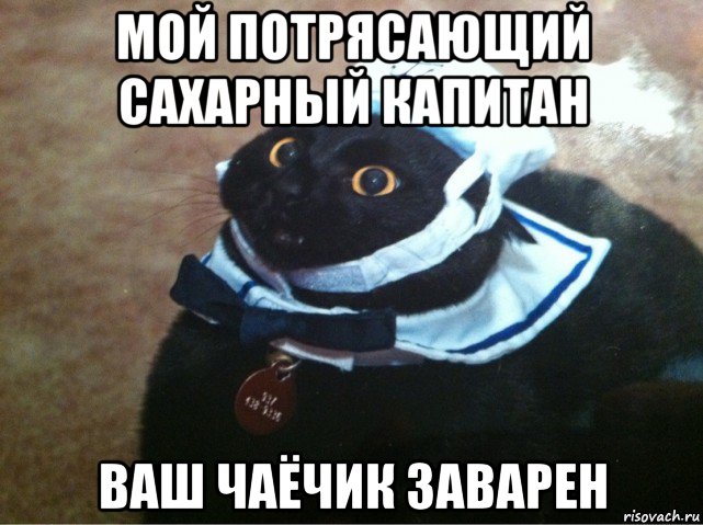мой потрясающий сахарный капитан ваш чаёчик заварен, Мем Капитан лодка