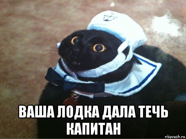  ваша лодка дала течь капитан, Мем Капитан лодка