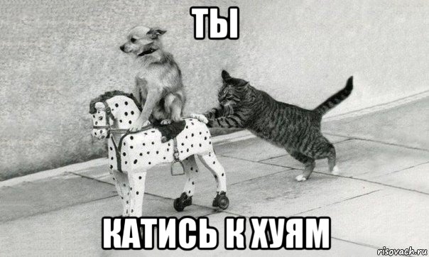 ты катись к хуям, Мем Катись к хуям