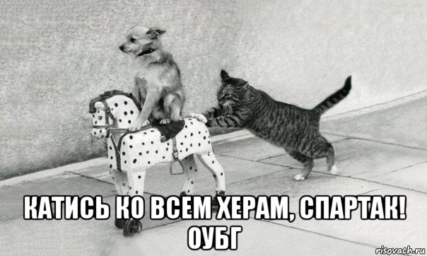  катись ко всем херам, спартак! оубг, Мем Катись к хуям