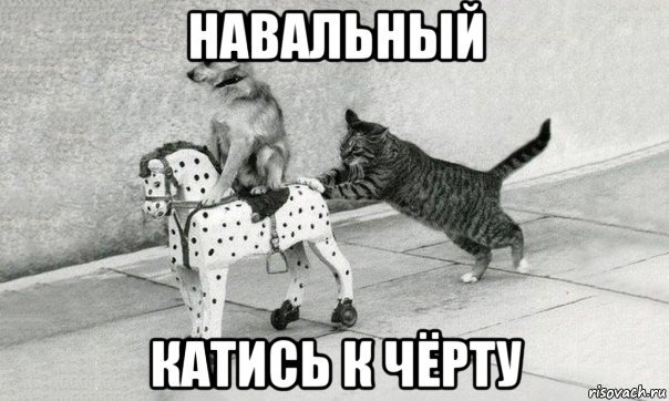 навальный катись к чёрту, Мем Катись к хуям