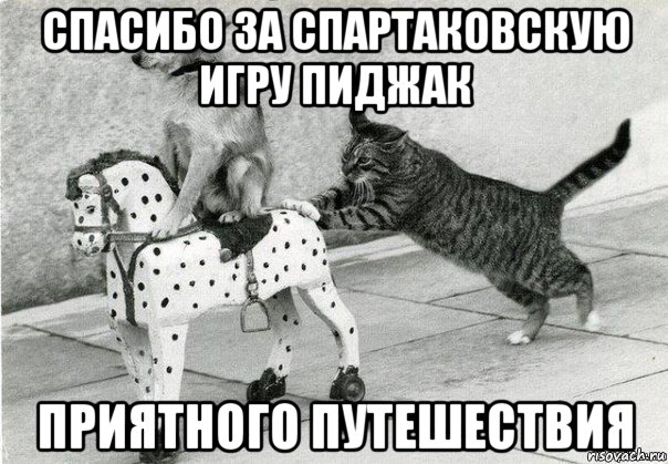 спасибо за спартаковскую игру пиджак приятного путешествия