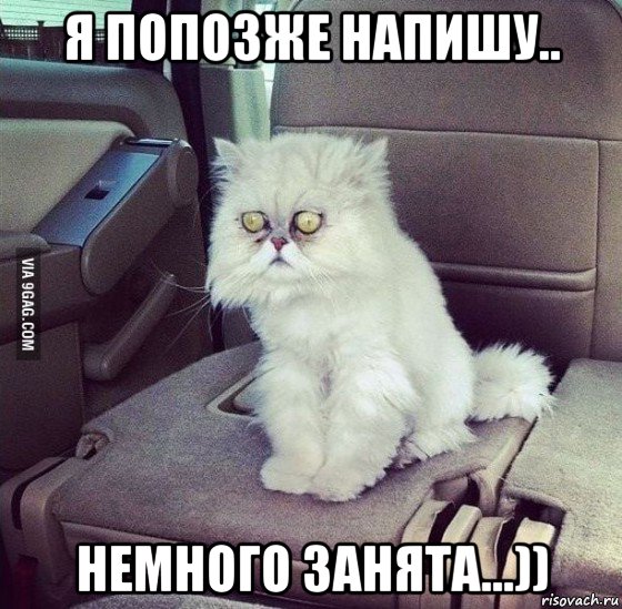 я попозже напишу.. немного занята...)), Мем Кот испуганный у