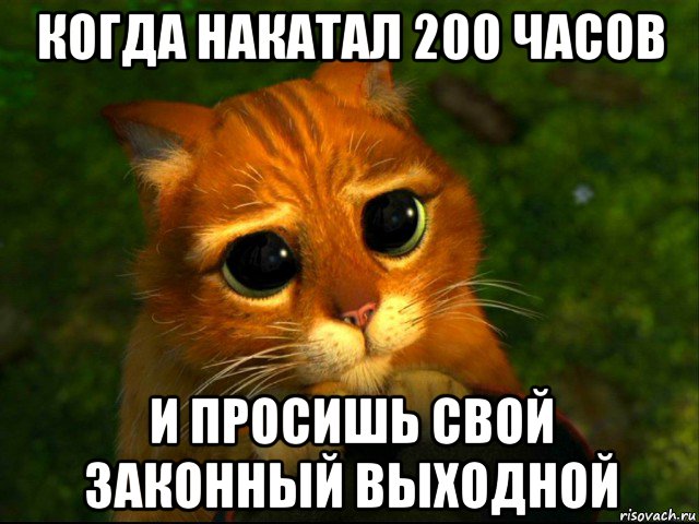 когда накатал 200 часов и просишь свой законный выходной