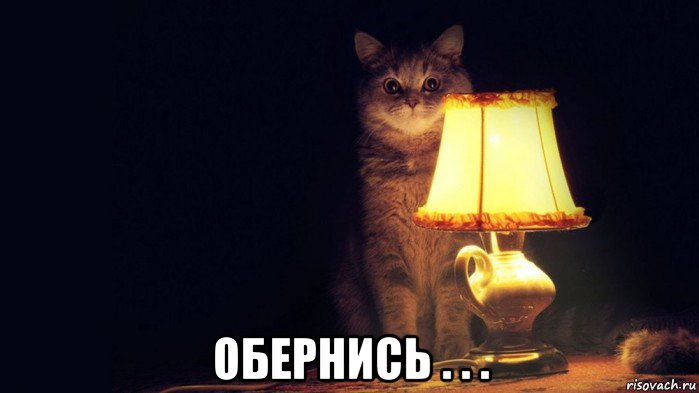  обернись . . .