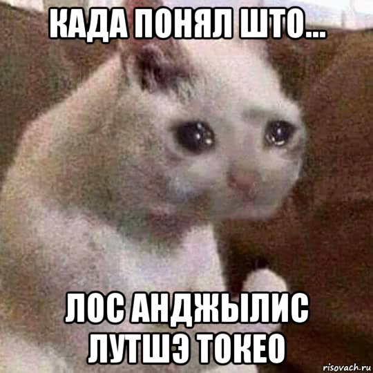 када понял што... лос анджылис лутшэ токео