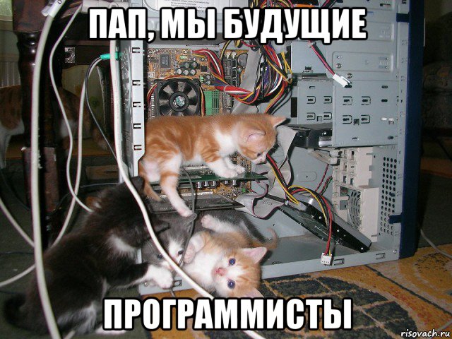 пап, мы будущие программисты