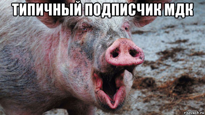 типичный подписчик мдк , Мем Крым наш