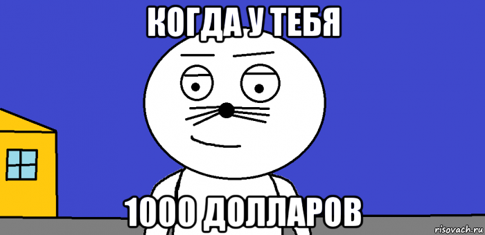 когда у тебя 1000 долларов